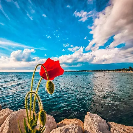 Apartment Brijuni Loft Pula