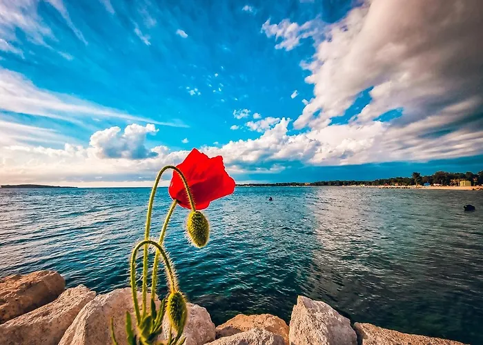 Apartman Brijuni Loft Póla